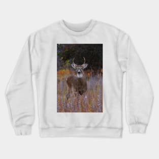 The Prince - White-tailed Deer Crewneck Sweatshirt